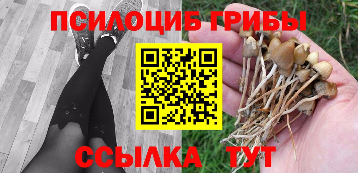 Псилоцибиновые грибы Psilocybe  Вход с VPN  Электрогорск 